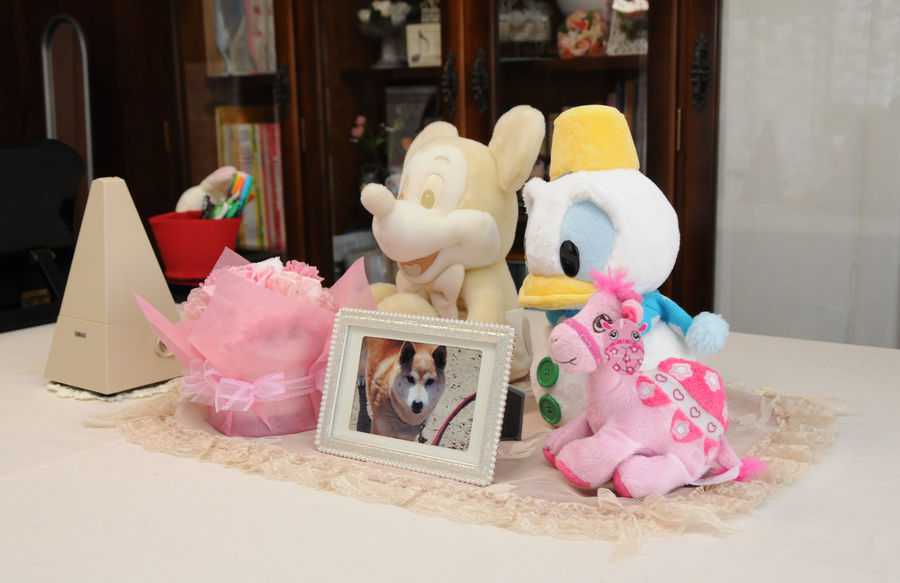 私のお気に入りです